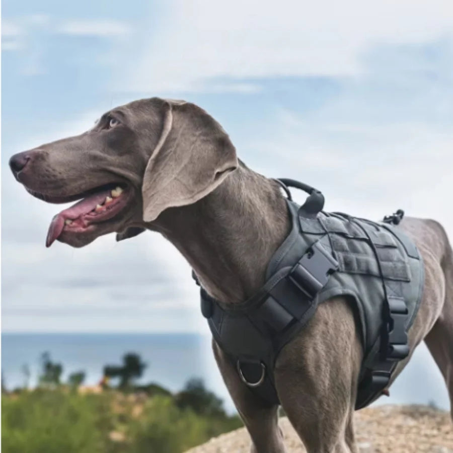 Tactical Comfort Dog Harness™