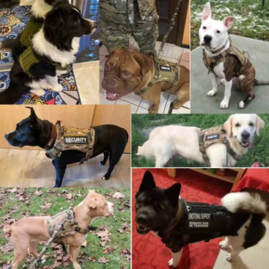 Tactical Comfort Dog Harness™