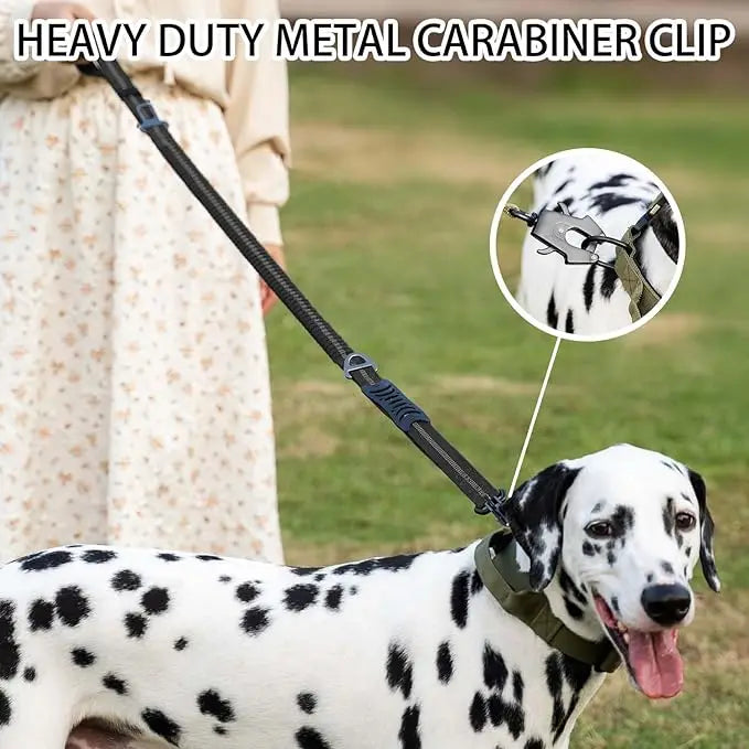 Premium Reflective Bungee Dog Leash™