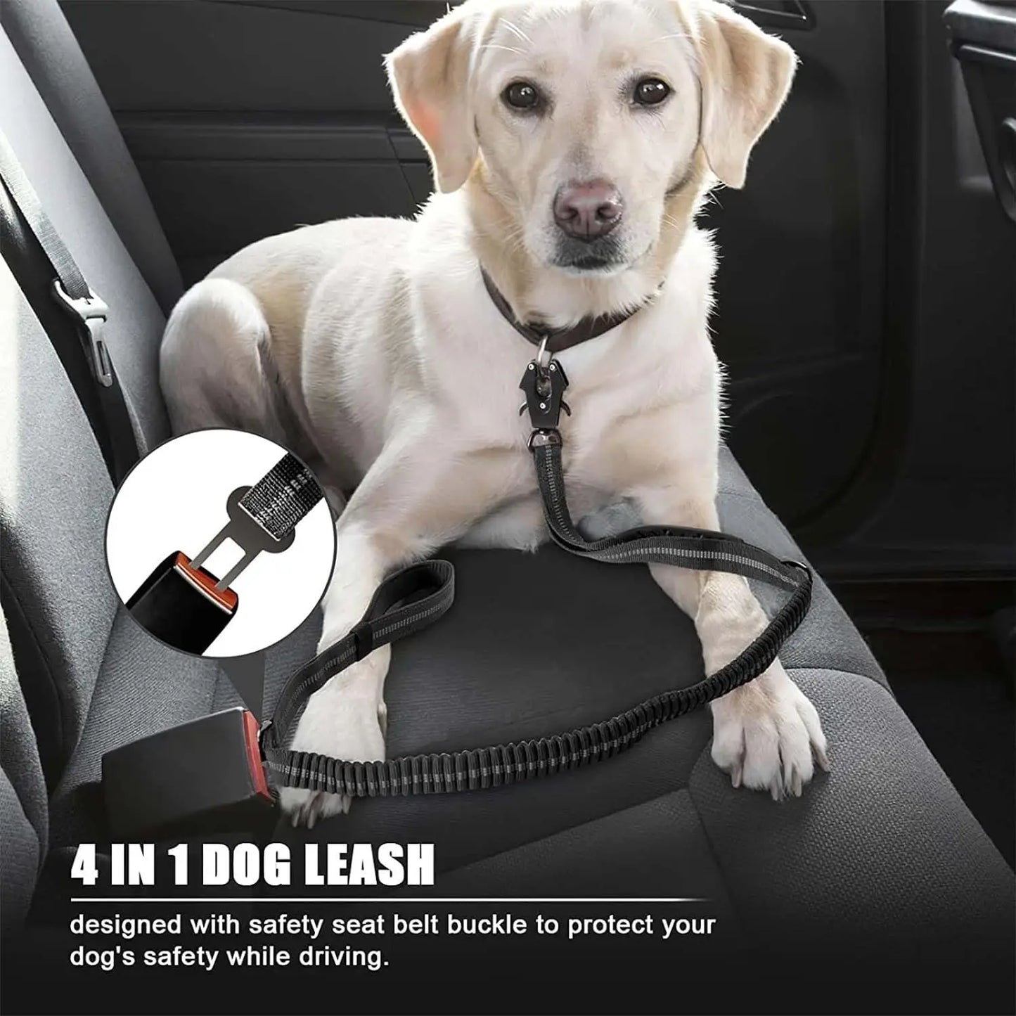 Premium Reflective Bungee Dog Leash™