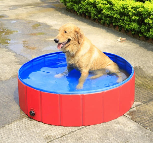 Gentle Splash Foldable Pet Bath Tub™