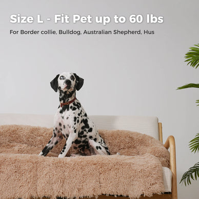Transform Your Pet's Sleep into Pure Comfort