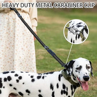 Premium Reflective Bungee Dog Leash™