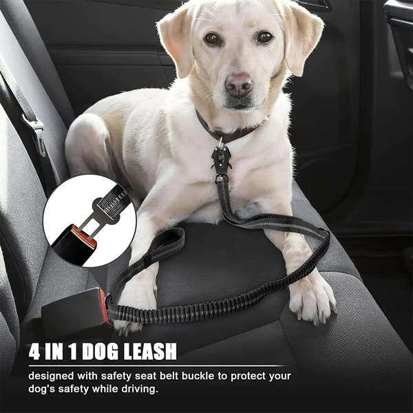 Premium Reflective Bungee Dog Leash™