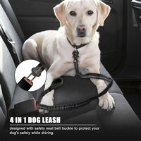 Premium Reflective Bungee Dog Leash™